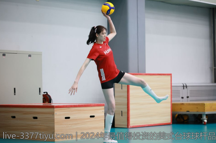 2024年最值得投资的美式台球球杆品牌排行榜