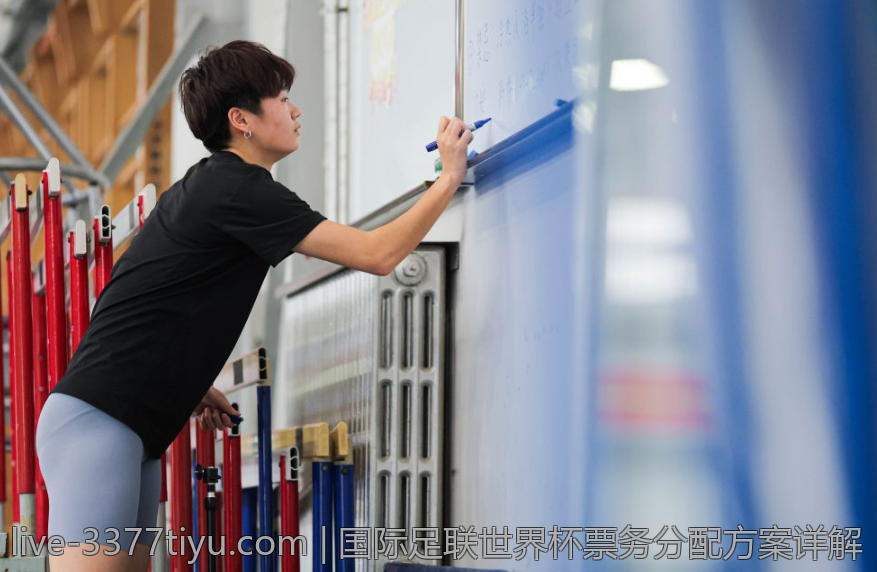 国际足联世界杯票务分配方案详解