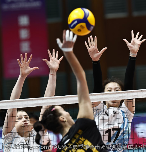 最新VNL世界女排联赛比赛比分结果一览今日总结