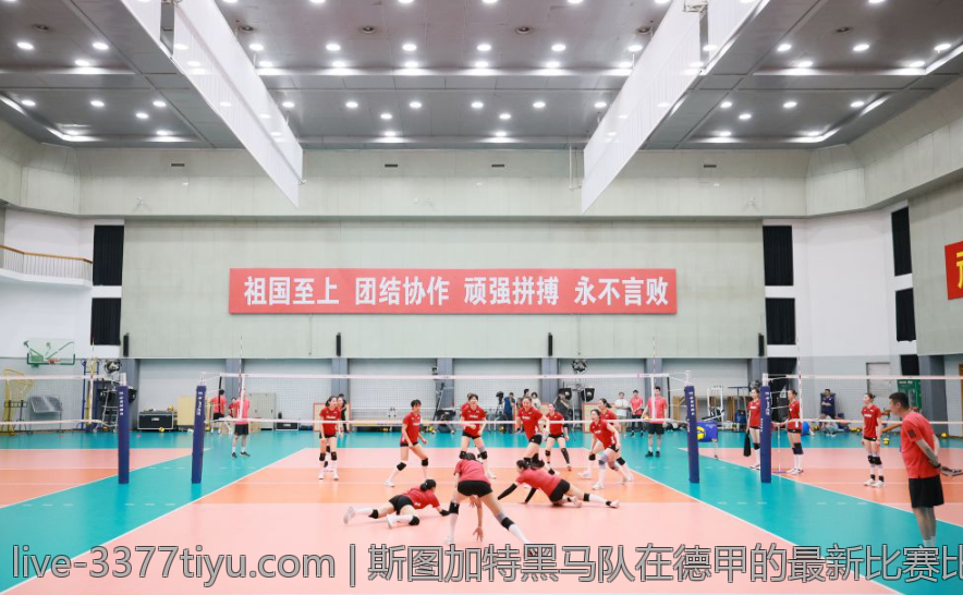 法甲历史单赛季进球纪录全景介绍