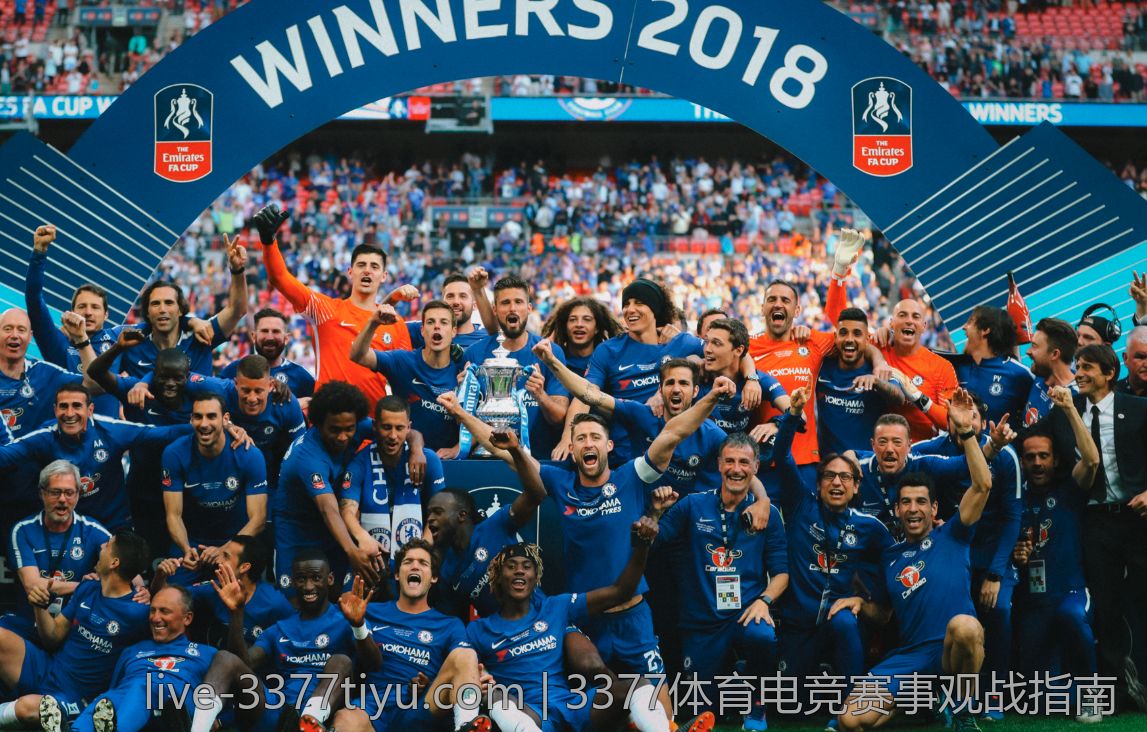 3377体育app的客户服务及时响应